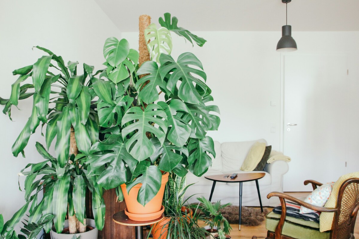 Simple Ways to a Sustainable Lifestyle