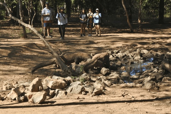 Balancing Tourism and Conservation on Komodo Island