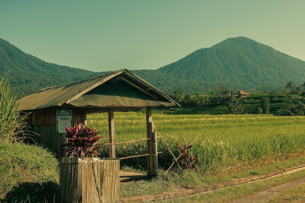 Bali Villa Market 2026: Is the Hype Finally Over?
