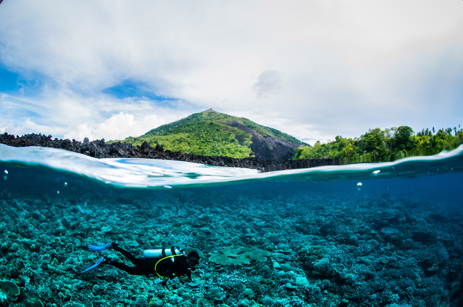 Nusa Lembongan Diving: A Practical Guide to Marine Life, Dive Sites, and Planning Tips