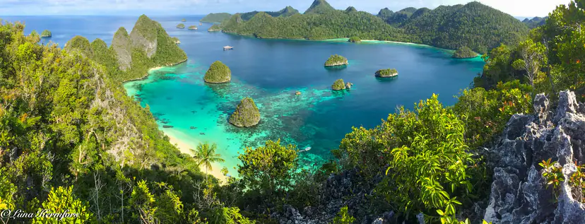 Croisière plongée ou resort à Raja Ampat : que choisir ?